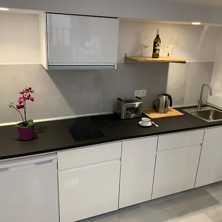 San Lorenzo Y 公寓 *