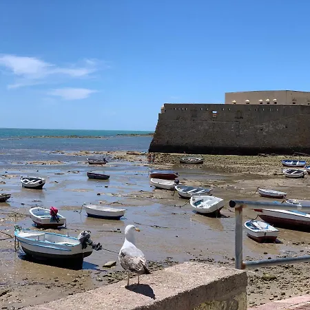 Lejlighed San Lorenzo Y Cádiz
