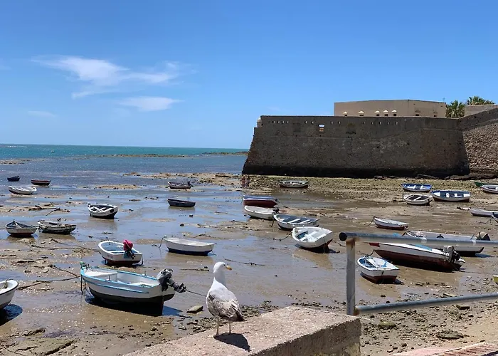 Lägenhet San Lorenzo Y Cádiz